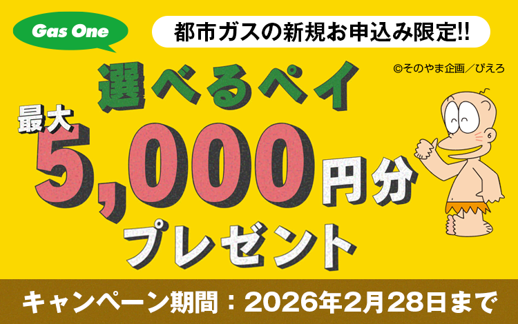 都市ガスならサイサン!物価高対策キャンペーン - 新規お申込み限定 選べるペイ最大5,000円分もれなくプレゼント